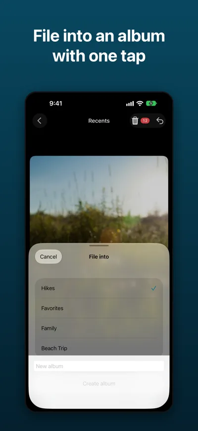 Best Photo Cleaner screenshot: File photos into albums